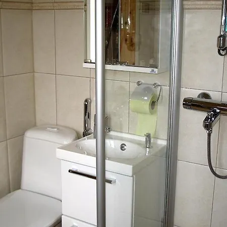 펜션 Myllyn Pirtti