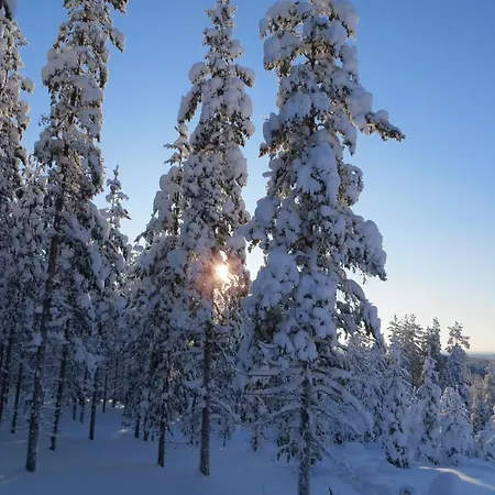 Myllyn Pirtti 펜션 *