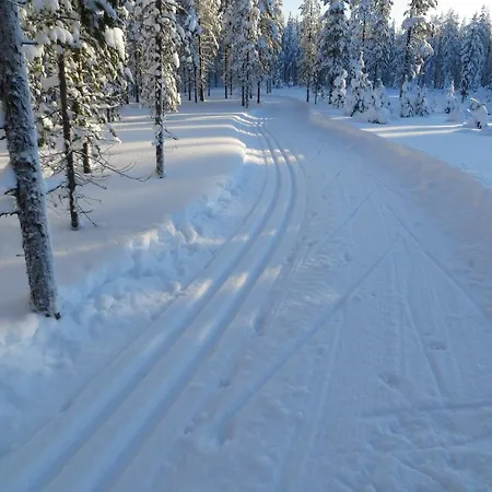 Myllyn Pirtti Holiday home Naamijoki