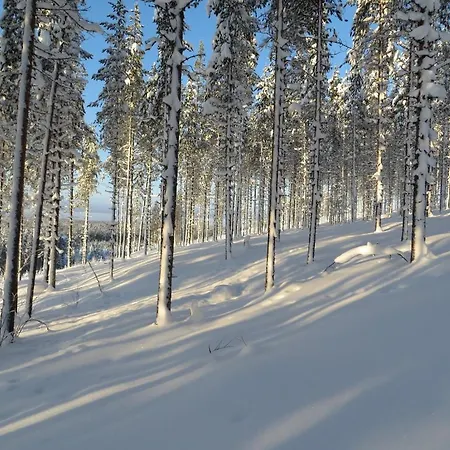Hébergement de vacances Myllyn Pirtti *