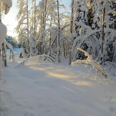 펜션 Myllyn Pirtti