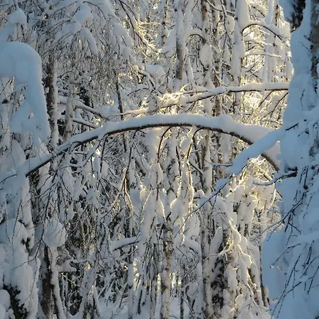 펜션 Myllyn Pirtti *