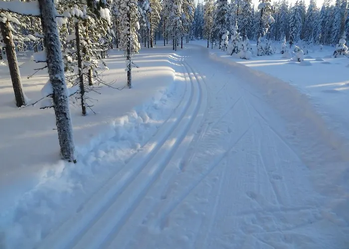 Myllyn Pirtti Dom wakacyjny Naamijoki
