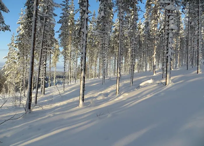 Dom wakacyjny Myllyn Pirtti *