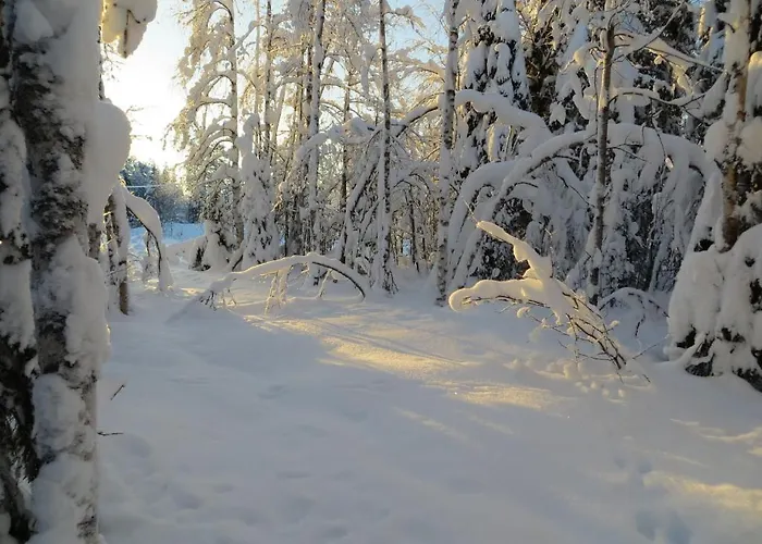 Dom wakacyjny Myllyn Pirtti