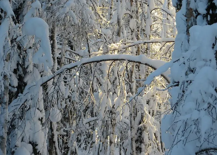 Сasa de vacaciones Myllyn Pirtti *
